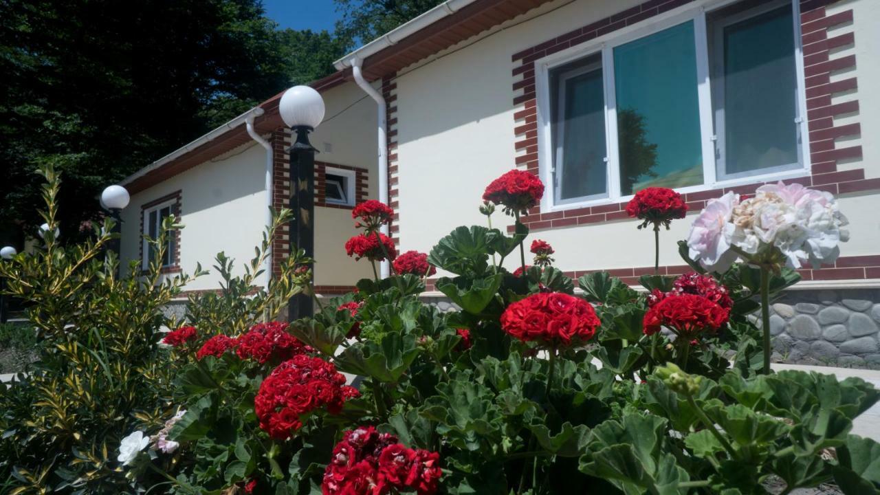 Hotel Selena Qusar Exterior foto